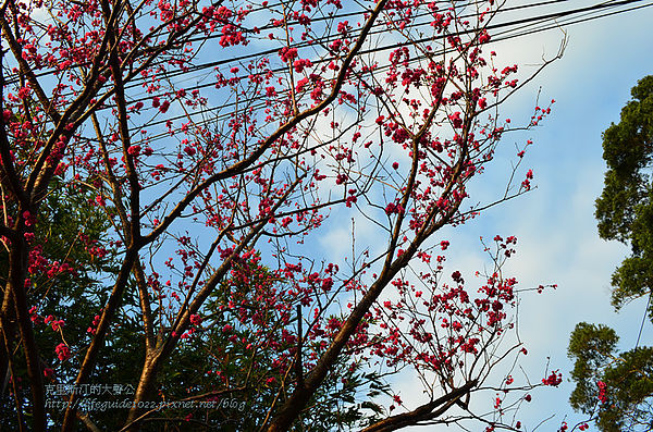吳氏宗祠 138_副本.jpg