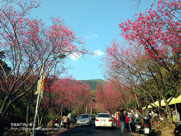 吳氏宗祠 153_副本.jpg