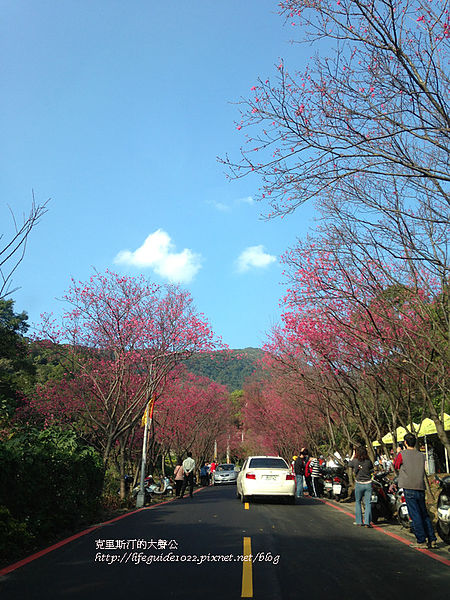 吳氏宗祠 152_副本.jpg