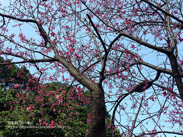 吳氏宗祠 156_副本.jpg