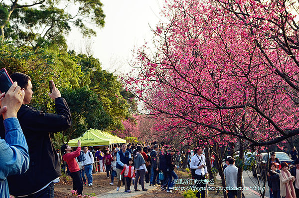 吳氏宗祠 114_副本.jpg