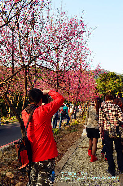 吳氏宗祠 116_副本.jpg