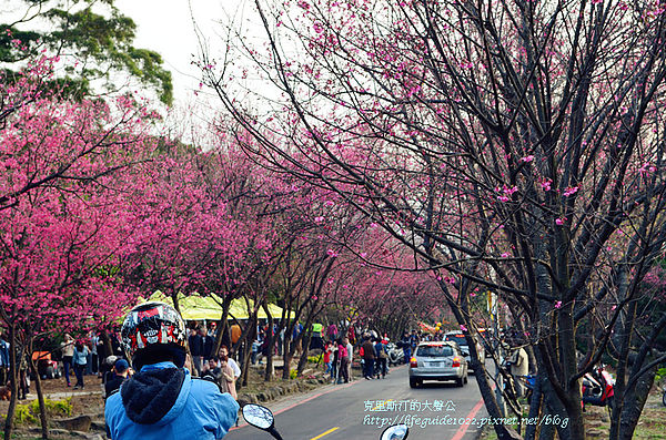 吳氏宗祠 100_副本.jpg
