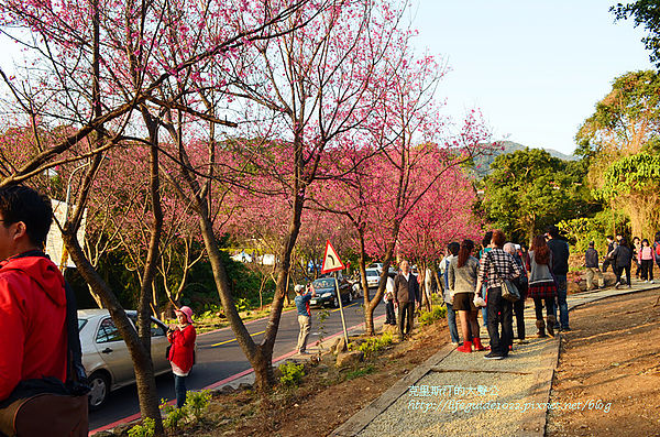 吳氏宗祠 119_副本.jpg