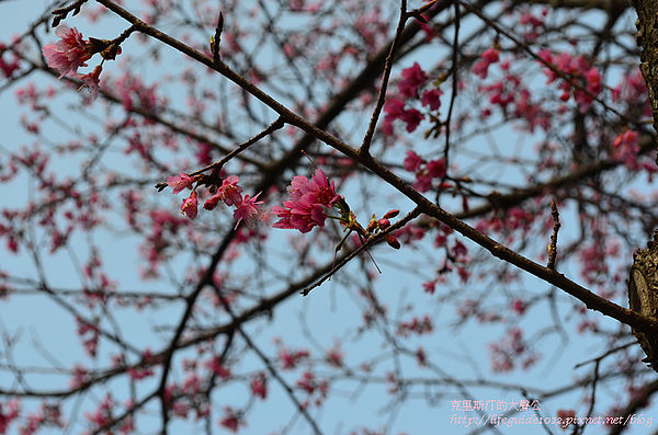 吳氏宗祠 008_副本.jpg