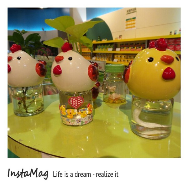 白蘭氏健康博物館：【彰化景點】雞精瓶罐的可愛造型屋~彰化鹿港白蘭氏健康博物館