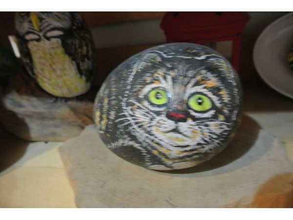 蕾米斯：【遊記】o○。oO。宜蘭 蕾米斯民宿o○。o。○