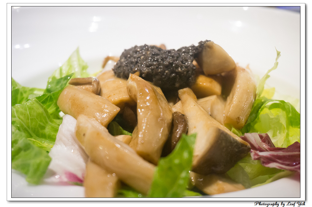 葉影瓶像版權所有