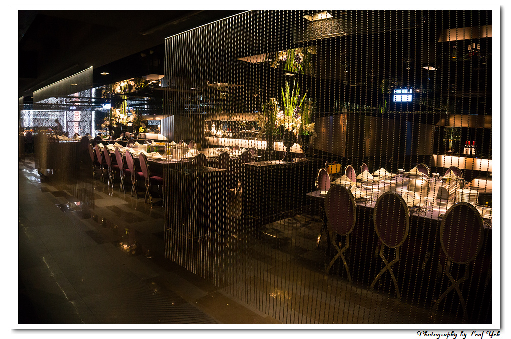 葉影瓶像版權所有