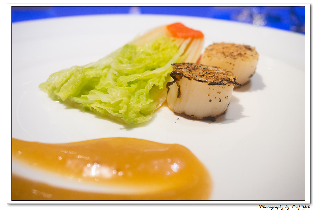 葉影瓶像版權所有