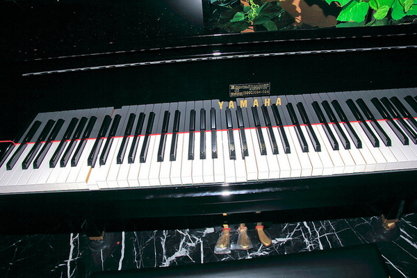 Mosun 墨賞新鐵板料理：[口碑⑭]【板南線忠孝敦化站】Mosun-墨賞新鐵板料理。頂級食材享受