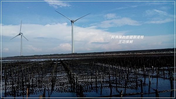 王功採蚵33.jpg