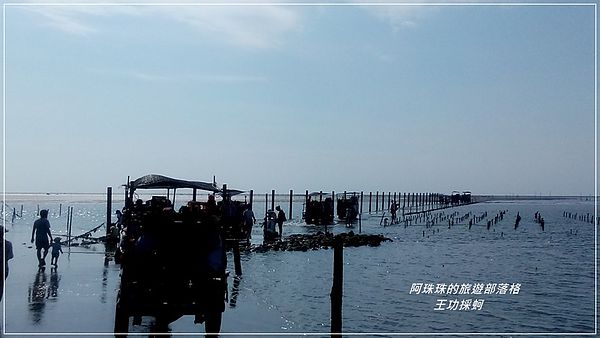 王功採蚵30.jpg