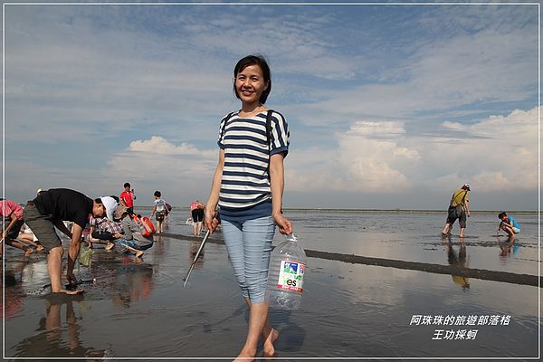 王功採蚵13.JPG