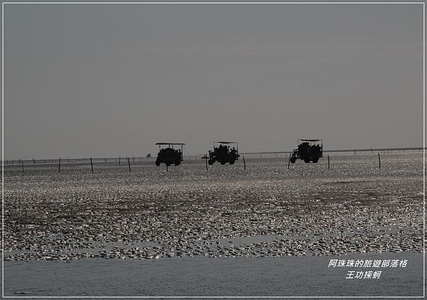 王功採蚵8.JPG