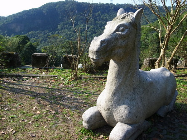 拱北殿：<新北|汐止|遊記>緩緩飄落的楓葉像思念....拱北殿賞楓