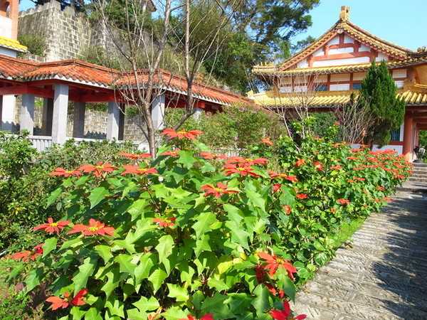拱北殿：<新北|汐止|遊記>緩緩飄落的楓葉像思念....拱北殿賞楓