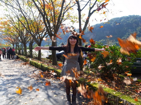 拱北殿：<新北|汐止|遊記>緩緩飄落的楓葉像思念....拱北殿賞楓