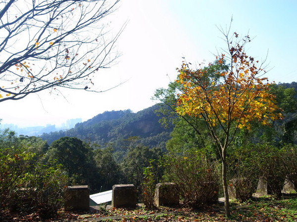 拱北殿：<新北|汐止|遊記>緩緩飄落的楓葉像思念....拱北殿賞楓
