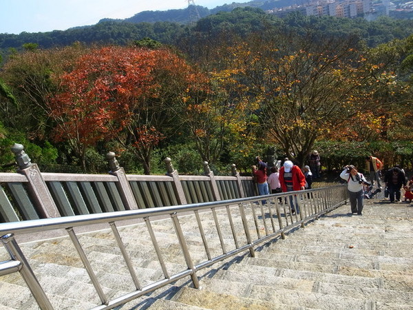 拱北殿：<新北|汐止|遊記>緩緩飄落的楓葉像思念....拱北殿賞楓