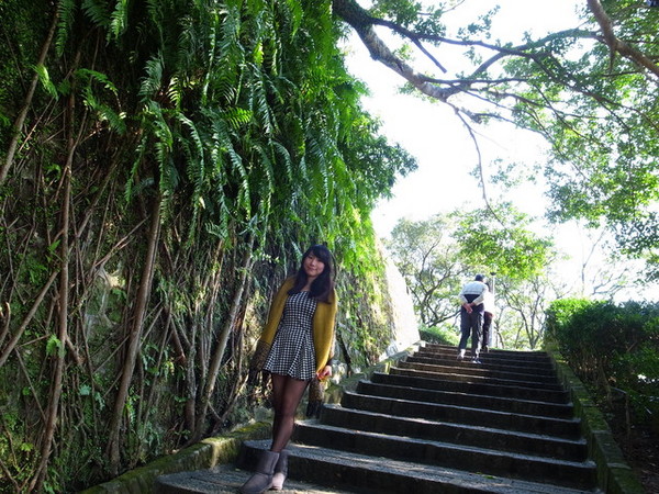 拱北殿：<新北|汐止|遊記>緩緩飄落的楓葉像思念....拱北殿賞楓
