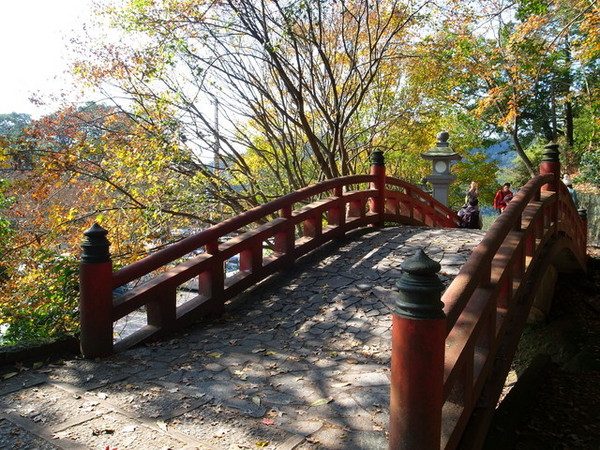 拱北殿：<新北|汐止|遊記>緩緩飄落的楓葉像思念....拱北殿賞楓