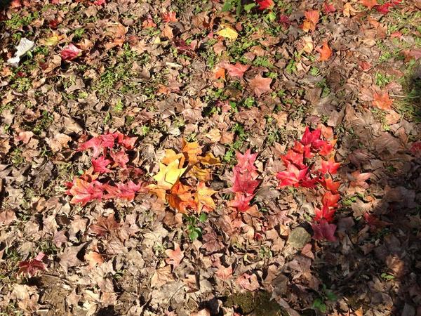 拱北殿：<新北|汐止|遊記>緩緩飄落的楓葉像思念....拱北殿賞楓