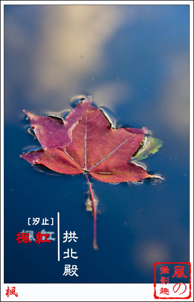 11870215283_88832de2f2_b