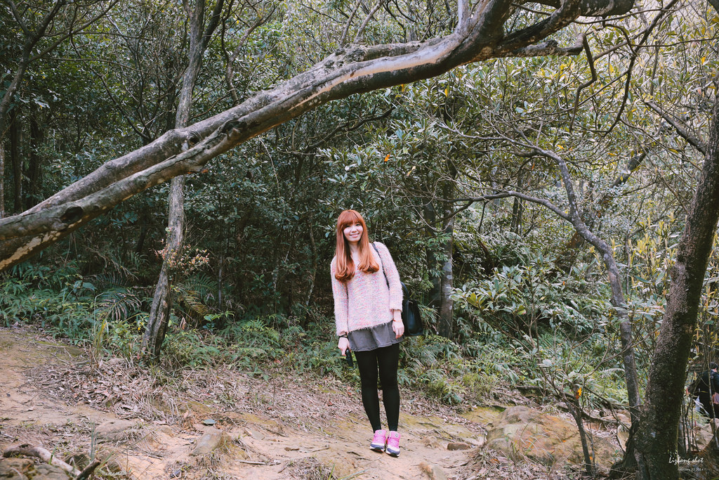 午後的新山夢湖