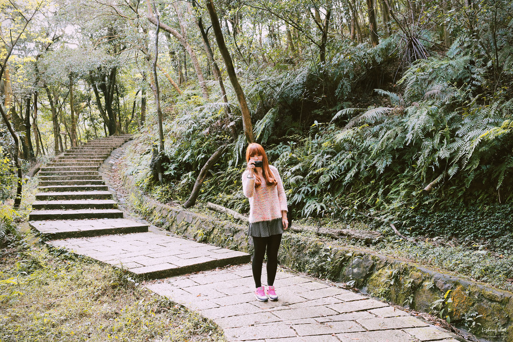 午後的新山夢湖