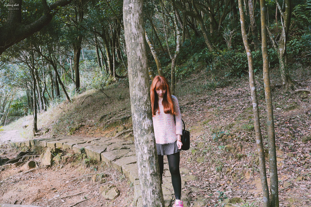 午後的新山夢湖