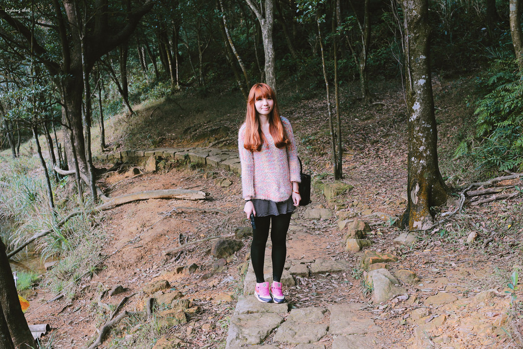 午後的新山夢湖