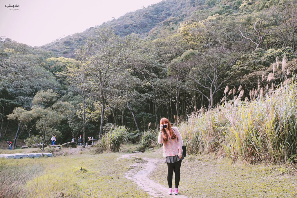 午後的新山夢湖