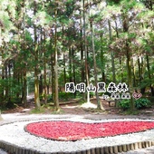 新山夢湖:【新北◍•ᴗ•◍汐止】景點・新山夢湖✯婚紗拍攝景點|林依晨與陳柏霖微電影取景的夢幻境地