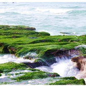 新山夢湖:【新北◍•ᴗ•◍汐止】景點・新山夢湖✯婚紗拍攝景點|林依晨與陳柏霖微電影取景的夢幻境地