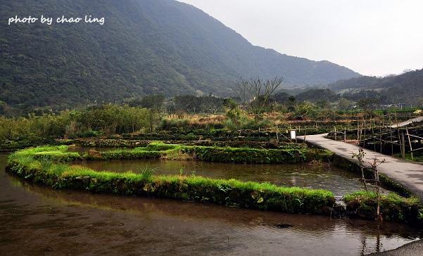 八煙聚落-2.JPG - 2016春暖花開