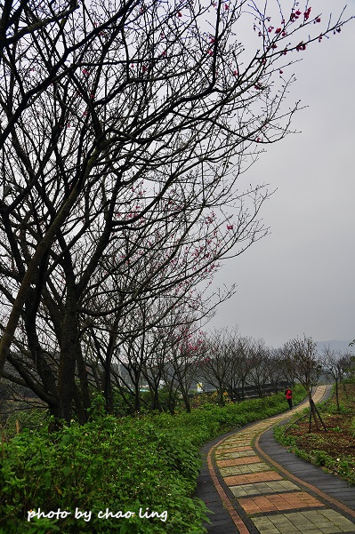 淡水三生步道-8.JPG - 2016春暖花開