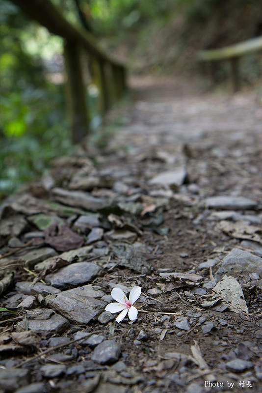 涼山瀑布：【遊記】｛屏東。瑪家鄉｝涼山瀑布。涼山遊憩區
