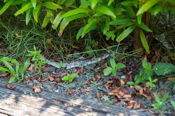 涼山瀑布：【遊記】｛屏東。瑪家鄉｝涼山瀑布。涼山遊憩區