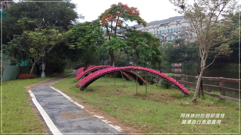 龍潭自行車道1.jpg