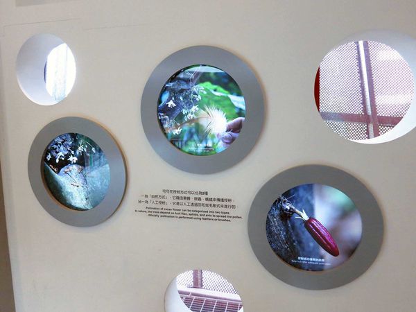 【桃園旅遊】巧克力共和國-親子巧克力觀光工廠DIY