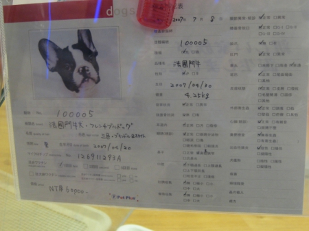 夢時代：寵物達人館