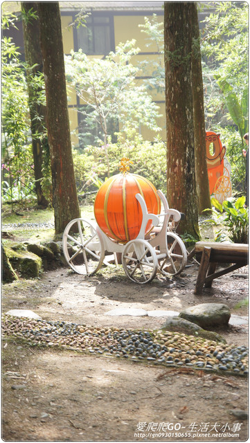 溪頭明山森林會館:【南投/鹿谷】明山森林會館~愛麗絲夢遊仙境