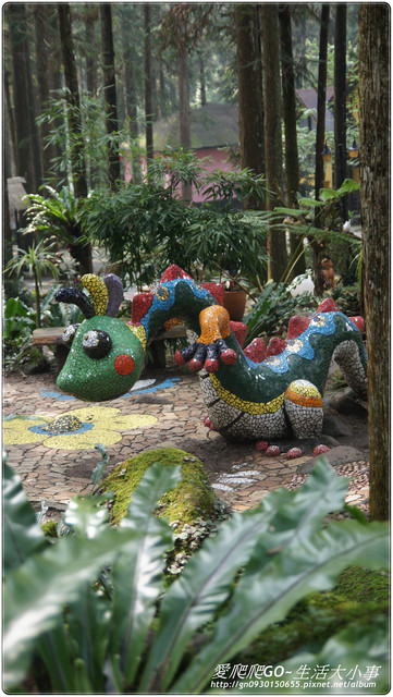 溪頭明山森林會館:【南投/鹿谷】明山森林會館~愛麗絲夢遊仙境