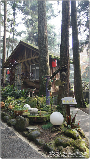 溪頭明山森林會館:【南投/鹿谷】明山森林會館~愛麗絲夢遊仙境