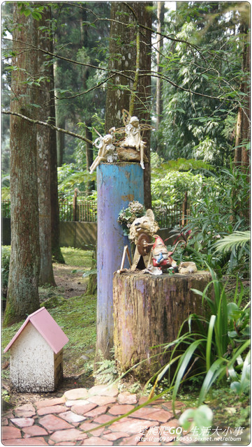溪頭明山森林會館:【南投/鹿谷】明山森林會館~愛麗絲夢遊仙境