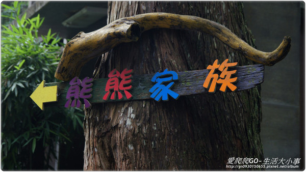 溪頭明山森林會館:【南投/鹿谷】明山森林會館~愛麗絲夢遊仙境