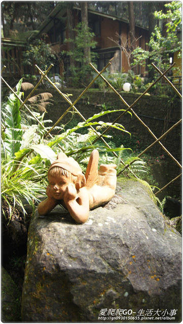 溪頭明山森林會館:【南投/鹿谷】明山森林會館~愛麗絲夢遊仙境