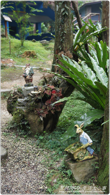 溪頭明山森林會館:【南投/鹿谷】明山森林會館~愛麗絲夢遊仙境