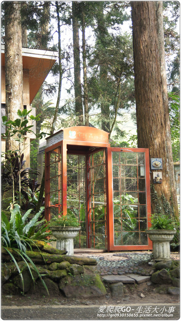 溪頭明山森林會館:【南投/鹿谷】明山森林會館~愛麗絲夢遊仙境